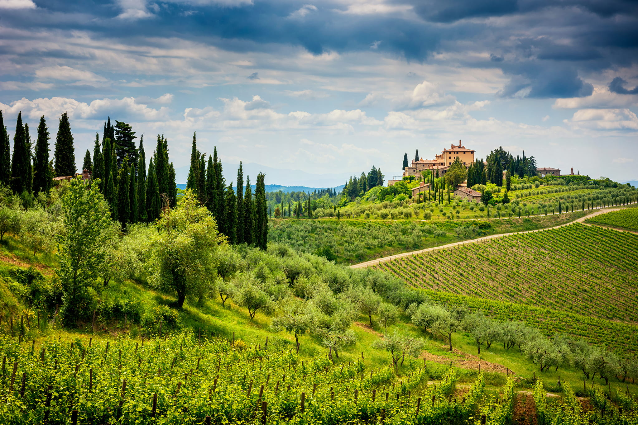 Chianti experience